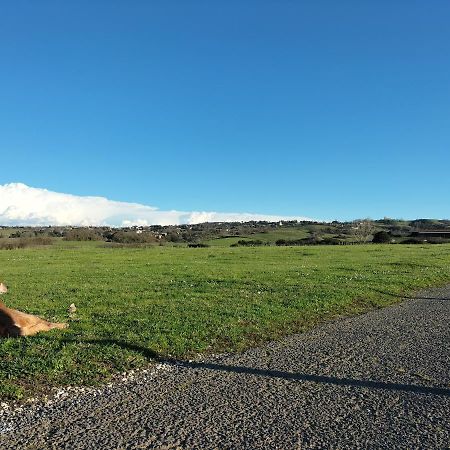 Rod Ranch Livestock - Appartamento Con Camino E Vista Piscina カンパニャーノ・ディ・ローマ エクステリア 写真