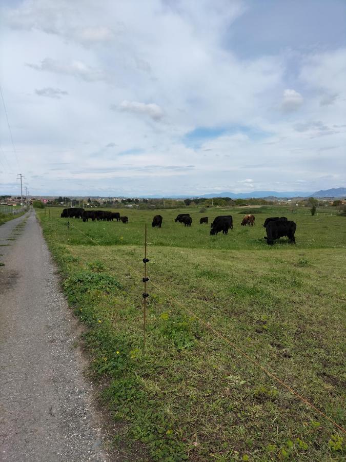 Rod Ranch Livestock - Appartamento Con Camino E Vista Piscina カンパニャーノ・ディ・ローマ エクステリア 写真