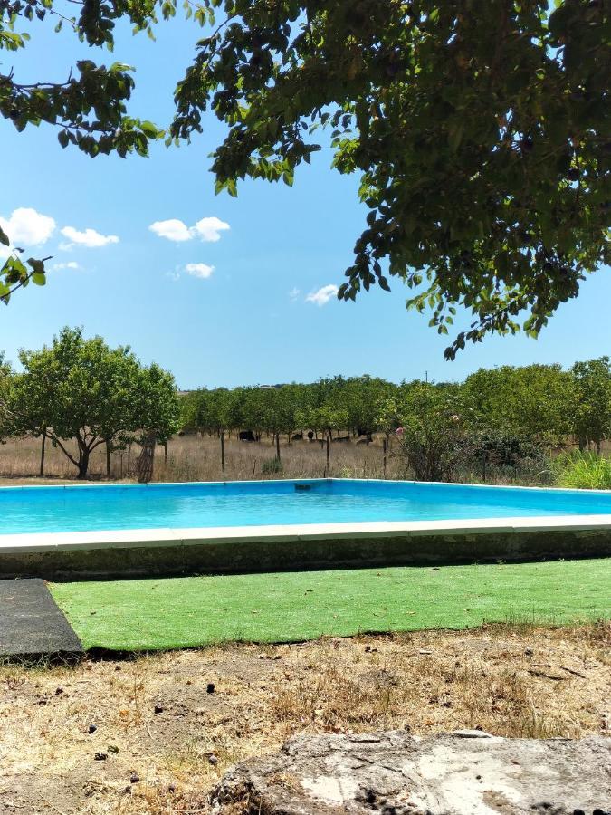 Rod Ranch Livestock - Appartamento Con Camino E Vista Piscina カンパニャーノ・ディ・ローマ エクステリア 写真