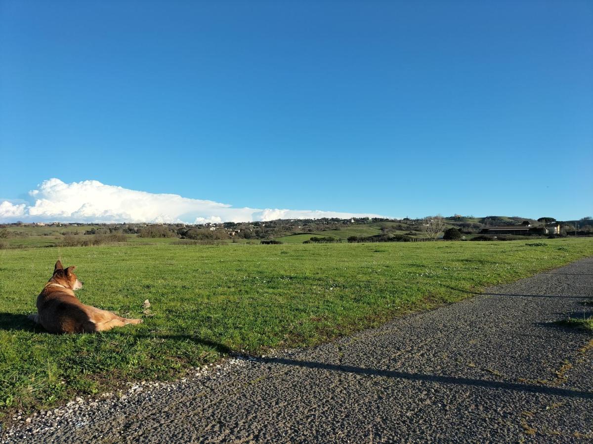 Rod Ranch Livestock - Appartamento Con Camino E Vista Piscina カンパニャーノ・ディ・ローマ エクステリア 写真